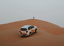 揭秘娱乐圈张翰与网红内幕的多彩世界