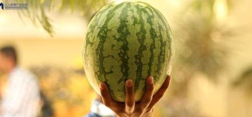 51爆料网揭秘:吃瓜表情包与明星高铁出行趣闻