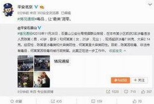 许晴：低调女神的演艺与生活侧影