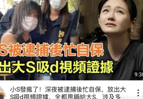 娱乐圈的吃瓜生活：从萌猫“吃瓜酱”到明星幕后趣闻大揭秘