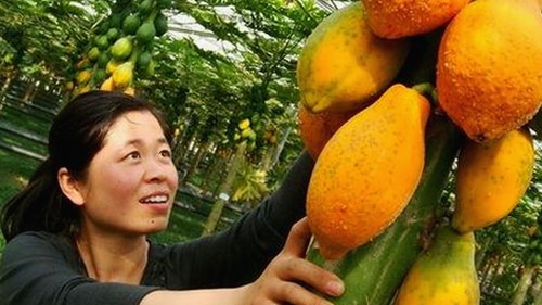 揭秘娱乐圈吃瓜背后真相与关键人物动态