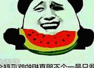 张凌赫与“吃瓜群众”：从云端追星到网络文化的镜像